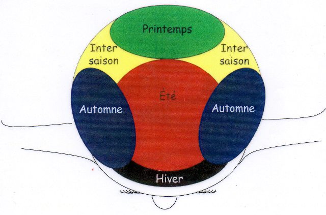 5elements2